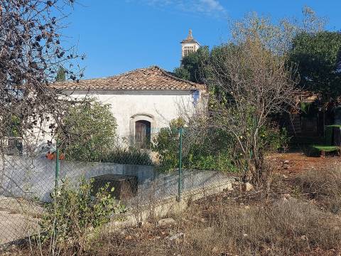 Uma Tela com História: Oportunidade Única nos Arredores de Loulé