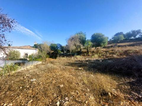 Uma Tela com História: Oportunidade Única nos Arredores de Loulé