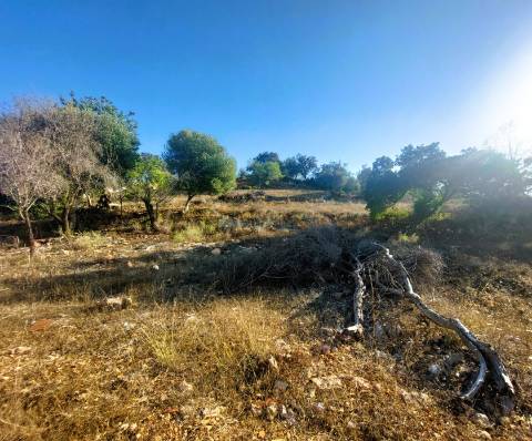 Uma Tela com História: Oportunidade Única nos Arredores de Loulé