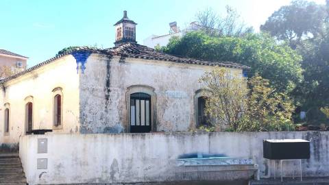 Uma Tela com História: Oportunidade Única nos Arredores de Loulé