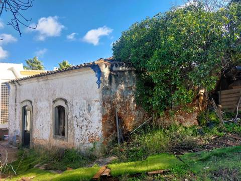 Uma Tela com História: Oportunidade Única nos Arredores de Loulé