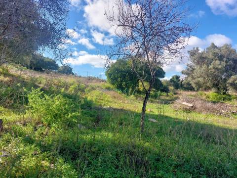 Uma Tela com História: Oportunidade Única nos Arredores de Loulé