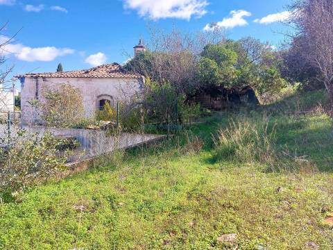 Uma Tela com História: Oportunidade Única nos Arredores de Loulé
