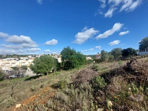 Uma Tela com História: Oportunidade Única nos Arredores de Loulé