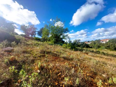 Uma Tela com História: Oportunidade Única nos Arredores de Loulé