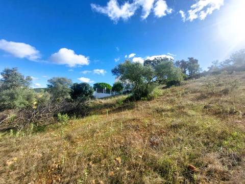 Uma Tela com História: Oportunidade Única nos Arredores de Loulé