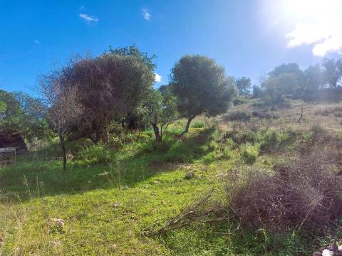 Uma Tela com História: Oportunidade Única nos Arredores de Loulé