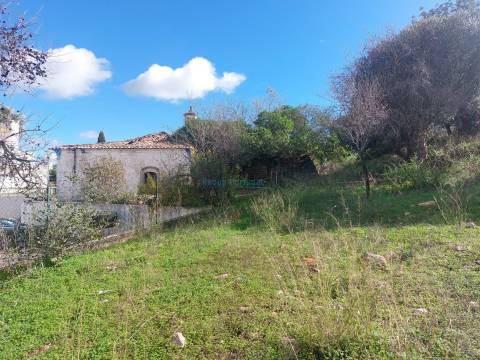 Uma Tela com História: Oportunidade Única nos Arredores de Loulé