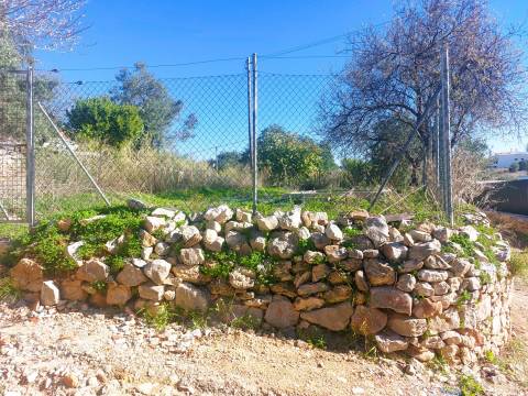 Excelente Lote de 120m² no Coração de Santa Bárbara de Nexe com Vista Mar