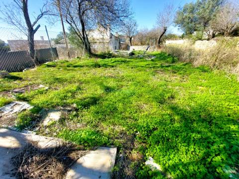 Excelente Lote de 120m² no Coração de Santa Bárbara de Nexe com Vista Mar