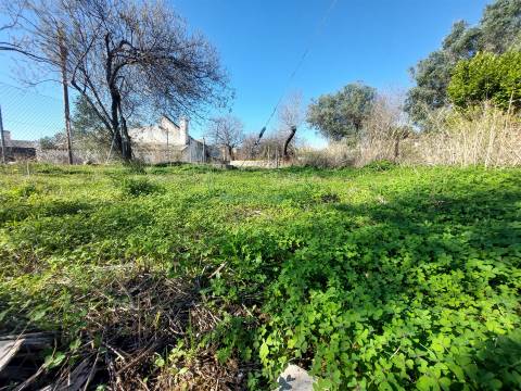 Excelente Lote de 120m² no Coração de Santa Bárbara de Nexe com Vista Mar