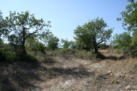 Terreno rustico de 3.040m2 perto de Estoi