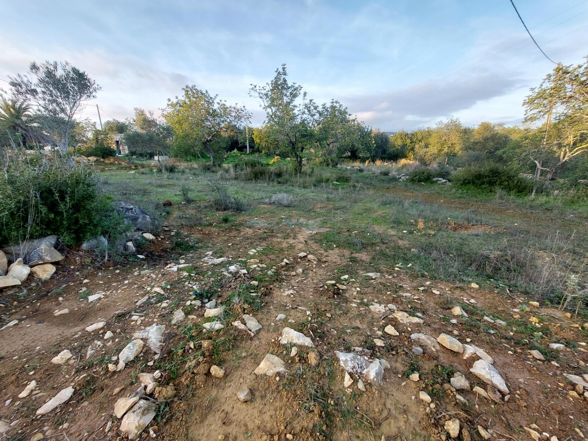 Terreno rustico de 3.040m2 perto de Estoi
