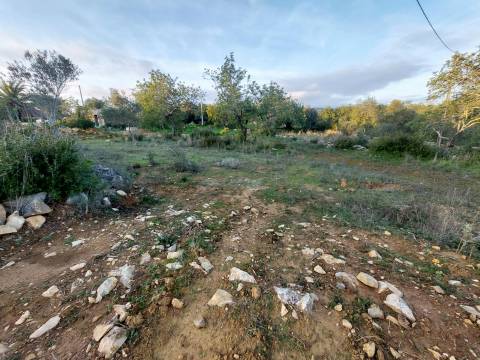 Terreno rustico de 3.040m2 perto de Estoi