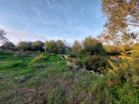 Terreno rustico de 3.040m2 perto de Estoi