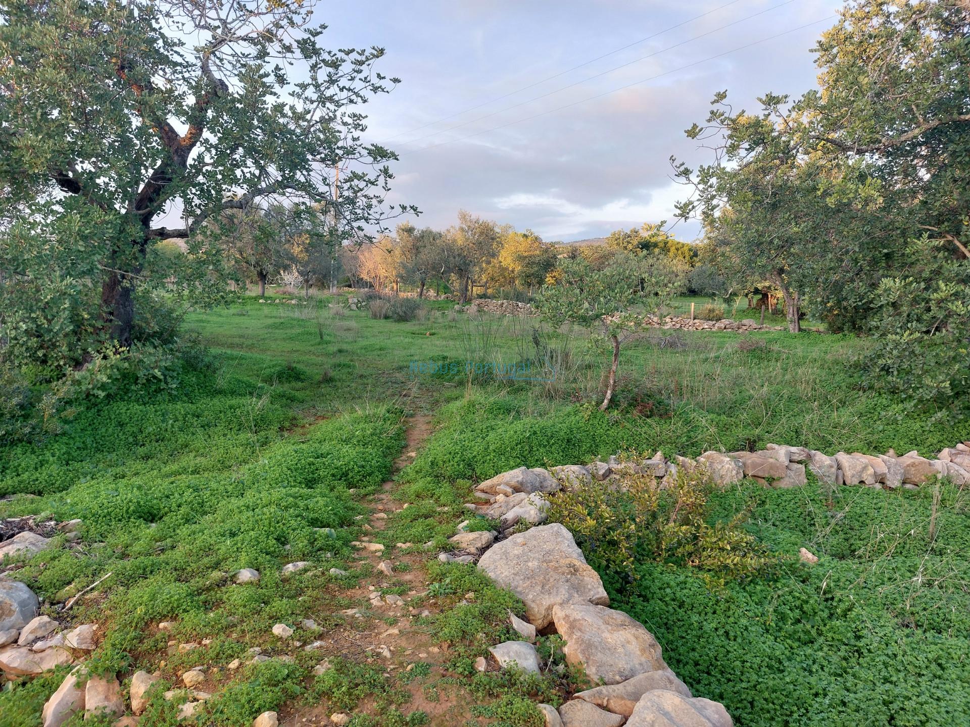 Terreno rustico de 3.040m2 perto de Estoi
