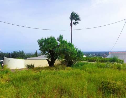 Vista Mar Deslumbrante | Terreno com Projeto Aprovado para Moradia de Luxo