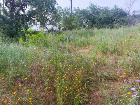 Vista Mar Deslumbrante | Terreno com Projeto Aprovado para Moradia de Luxo