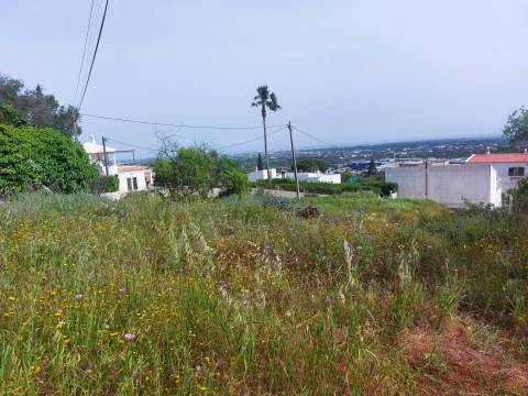 Vista Mar Deslumbrante | Terreno com Projeto Aprovado para Moradia de Luxo