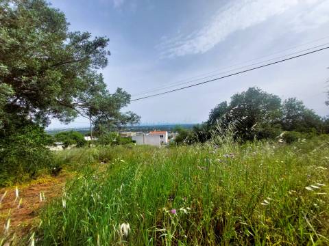 Vista Mar Deslumbrante | Terreno com Projeto Aprovado para Moradia de Luxo