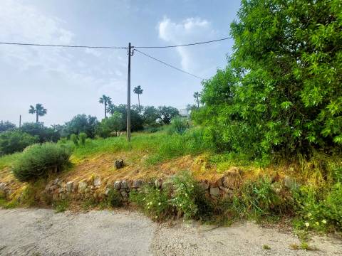 Vista Mar Deslumbrante | Terreno com Projeto Aprovado para Moradia de Luxo