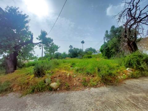 Vista Mar Deslumbrante | Terreno com Projeto Aprovado para Moradia de Luxo
