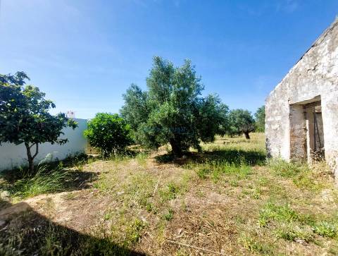 Terreno Exclusivo com Projeto Aprovado Pronto a Construir