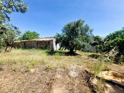 Terreno Exclusivo com Projeto Aprovado Pronto a Construir