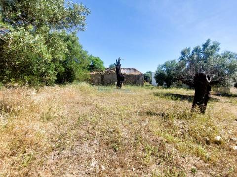 Terreno Exclusivo com Projeto Aprovado Pronto a Construir