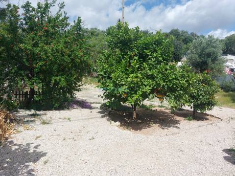 Moradia T3+1 de Charme Tradicional com Jardim e Potencial de Anexo