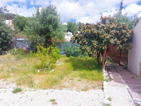 Moradia T3+1 de Charme Tradicional com Jardim e Potencial de Anexo