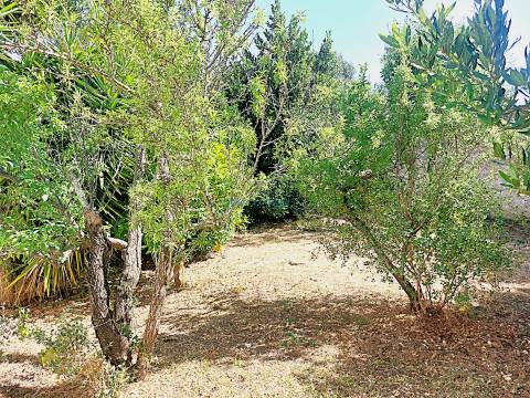 Quinta de Carácter Único para Projeto Residencial ou Turístico de Excelência