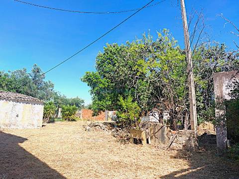 Quinta de Carácter Único para Projeto Residencial ou Turístico de Excelência