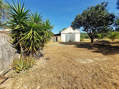 Quinta de Carácter Único para Projeto Residencial ou Turístico de Excelência