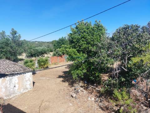 Quinta de Carácter Único para Projeto Residencial ou Turístico de Excelência