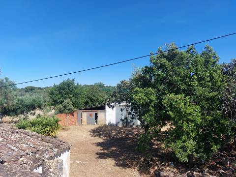 Quinta de Carácter Único para Projeto Residencial ou Turístico de Excelência