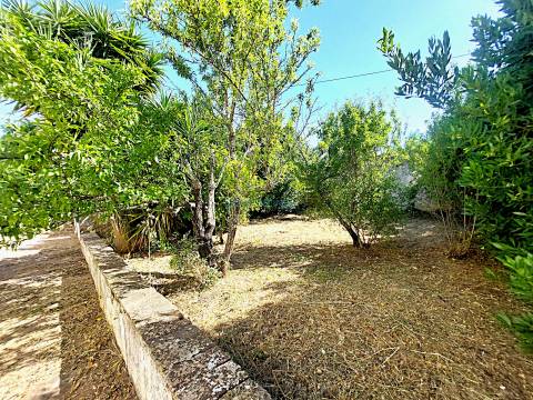 Quinta de Carácter Único para Projeto Residencial ou Turístico de Excelência