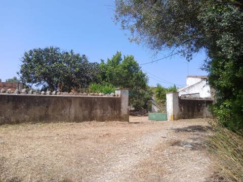 Quinta de Carácter Único para Projeto Residencial ou Turístico de Excelência