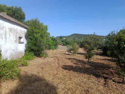 Quinta de Carácter Único para Projeto Residencial ou Turístico de Excelência