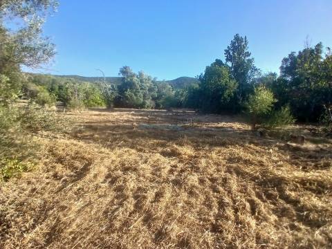 Quinta de Carácter Único para Projeto Residencial ou Turístico de Excelência