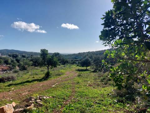 Terreno Exclusivo com Vista Mar e Elevado Potencial de Construção - Quinta das Raposeiras
