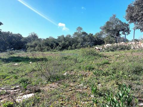 Terreno Exclusivo com Vista Mar e Elevado Potencial de Construção - Quinta das Raposeiras