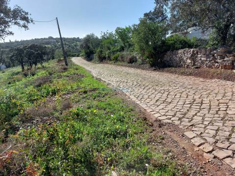 Terreno Exclusivo com Vista Mar e Elevado Potencial de Construção - Quinta das Raposeiras