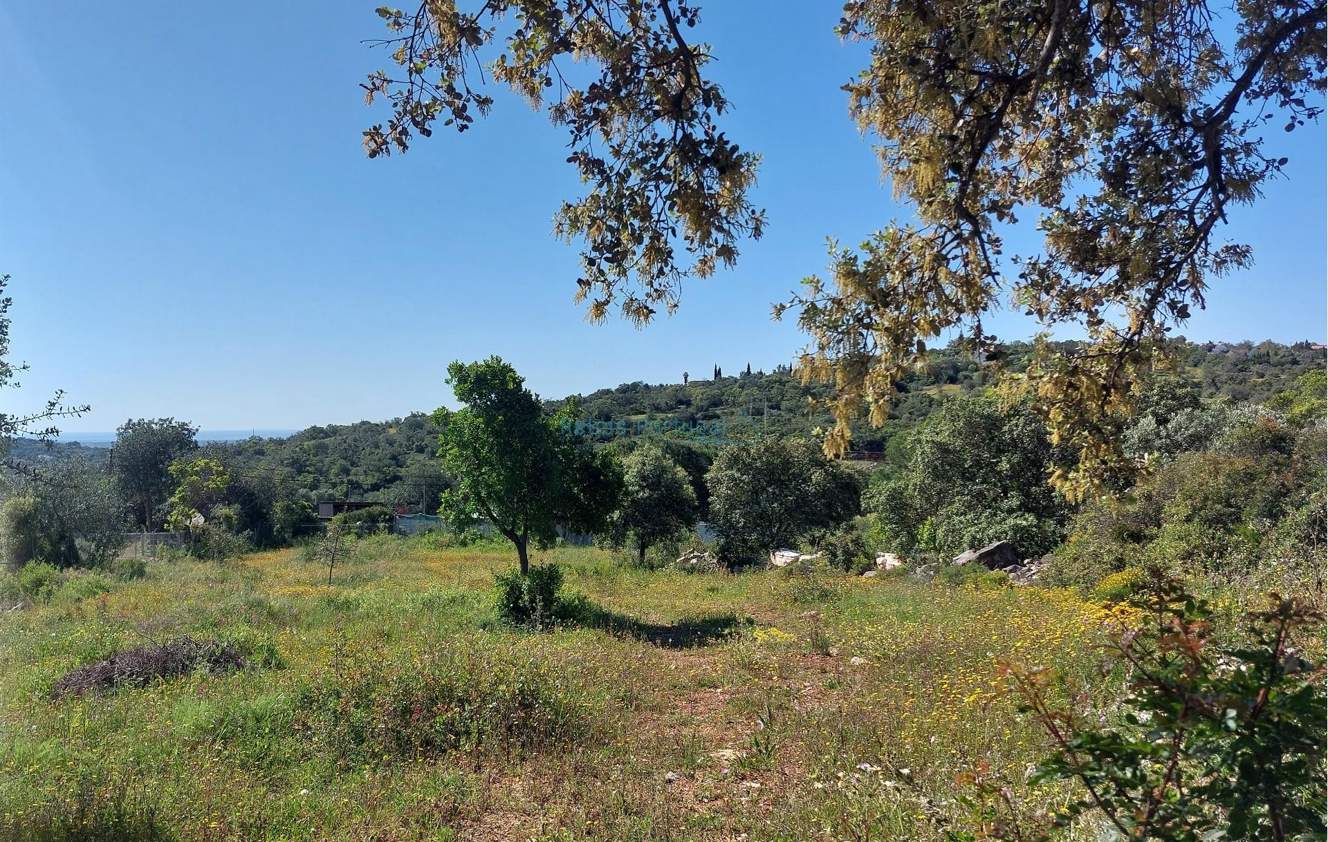 Terreno Exclusivo com Vista Mar e Elevado Potencial de Construção - Quinta das Raposeiras