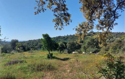 Terreno Exclusivo com Vista Mar e Elevado Potencial de Construção - Quinta das Raposeiras