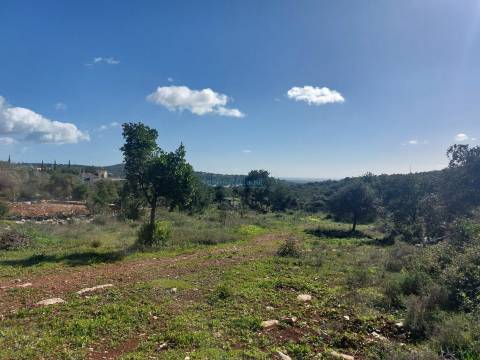 Terreno Exclusivo com Vista Mar e Elevado Potencial de Construção - Quinta das Raposeiras