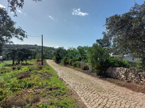 Terreno Exclusivo com Vista Mar e Elevado Potencial de Construção - Quinta das Raposeiras