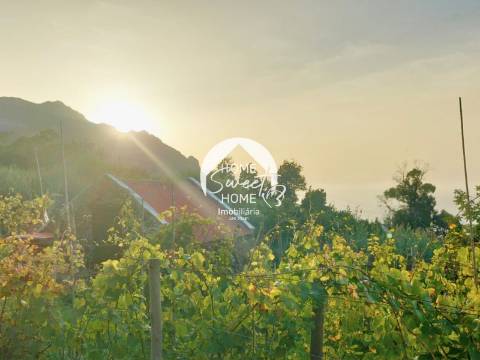 Terreno Rústico no Arco Pequeno