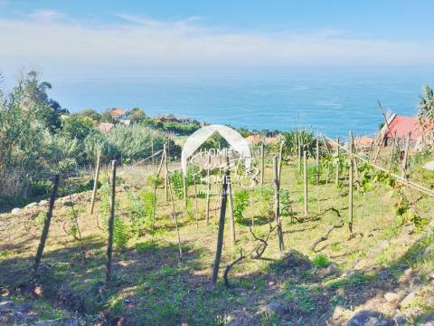 Terreno Rústico no Arco Pequeno