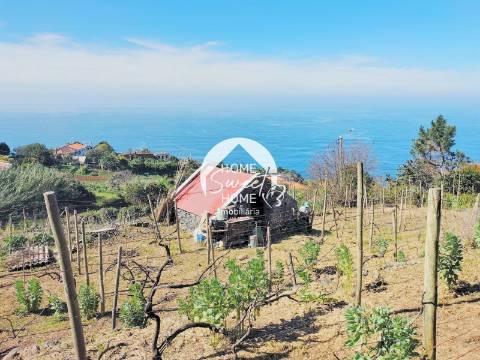 Terreno Rústico no Arco Pequeno